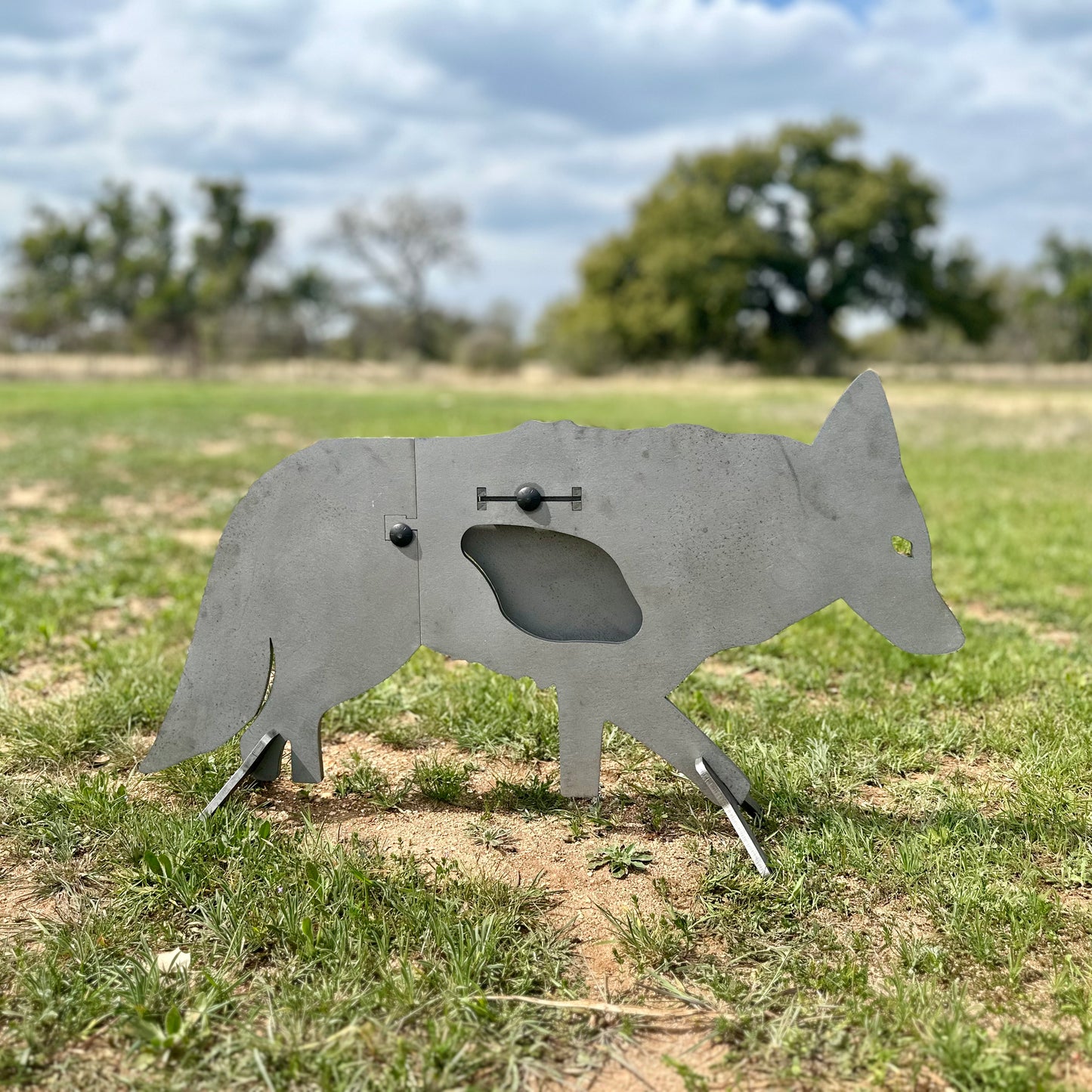 Full Size AR500 Coyote Target
