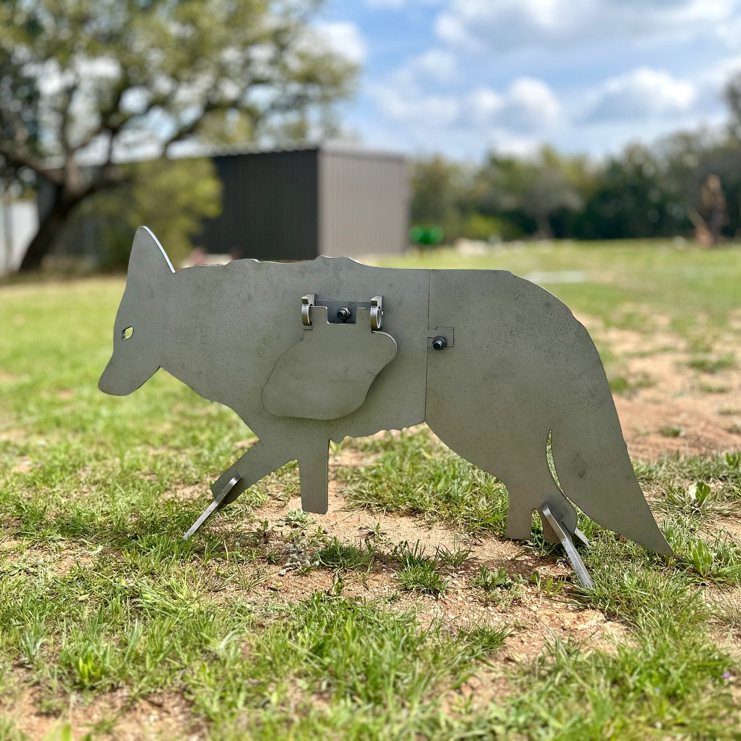 Full Size AR500 Coyote Target