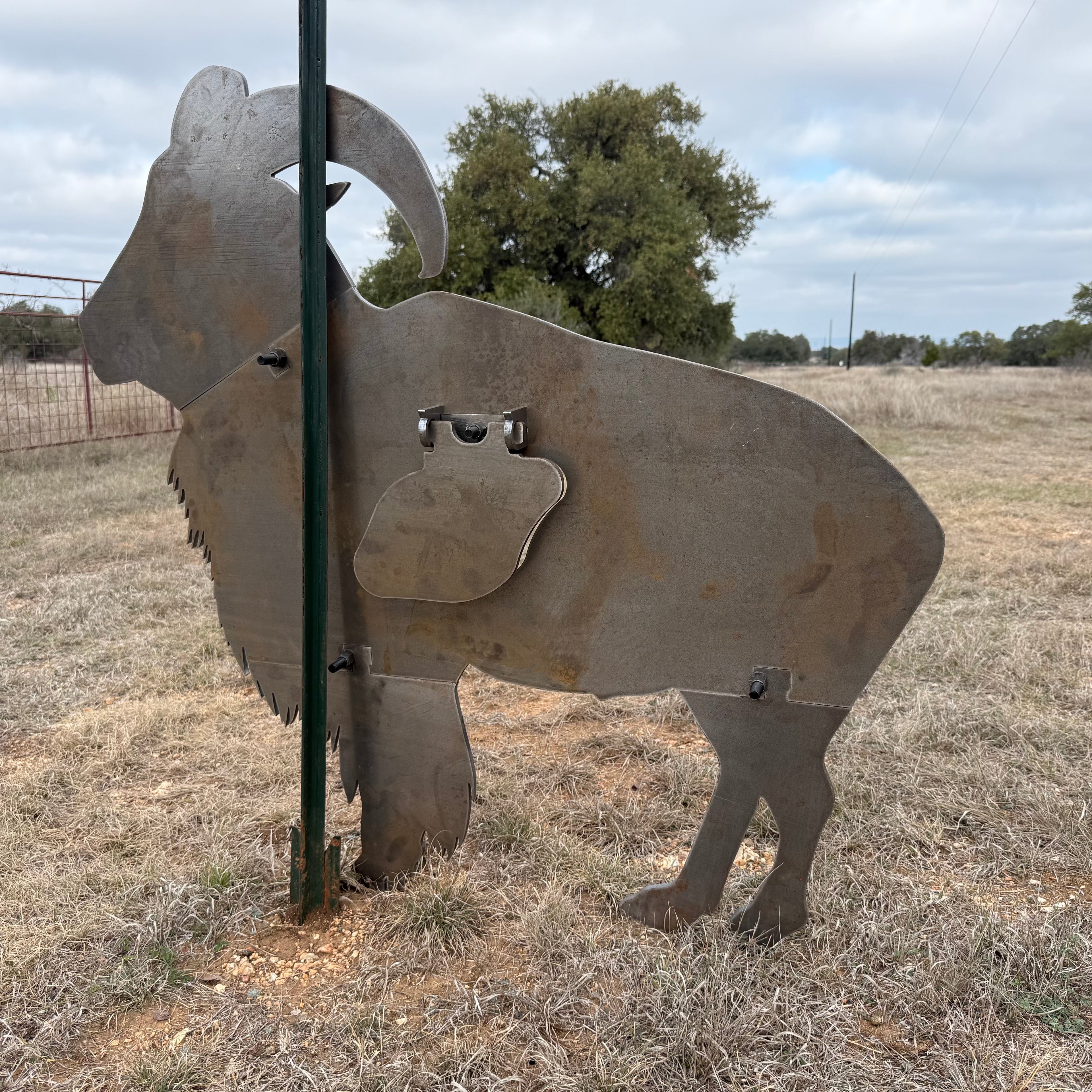 AR500 Steel Aoudad ram target on a t-post stand in an open field with trees in the background