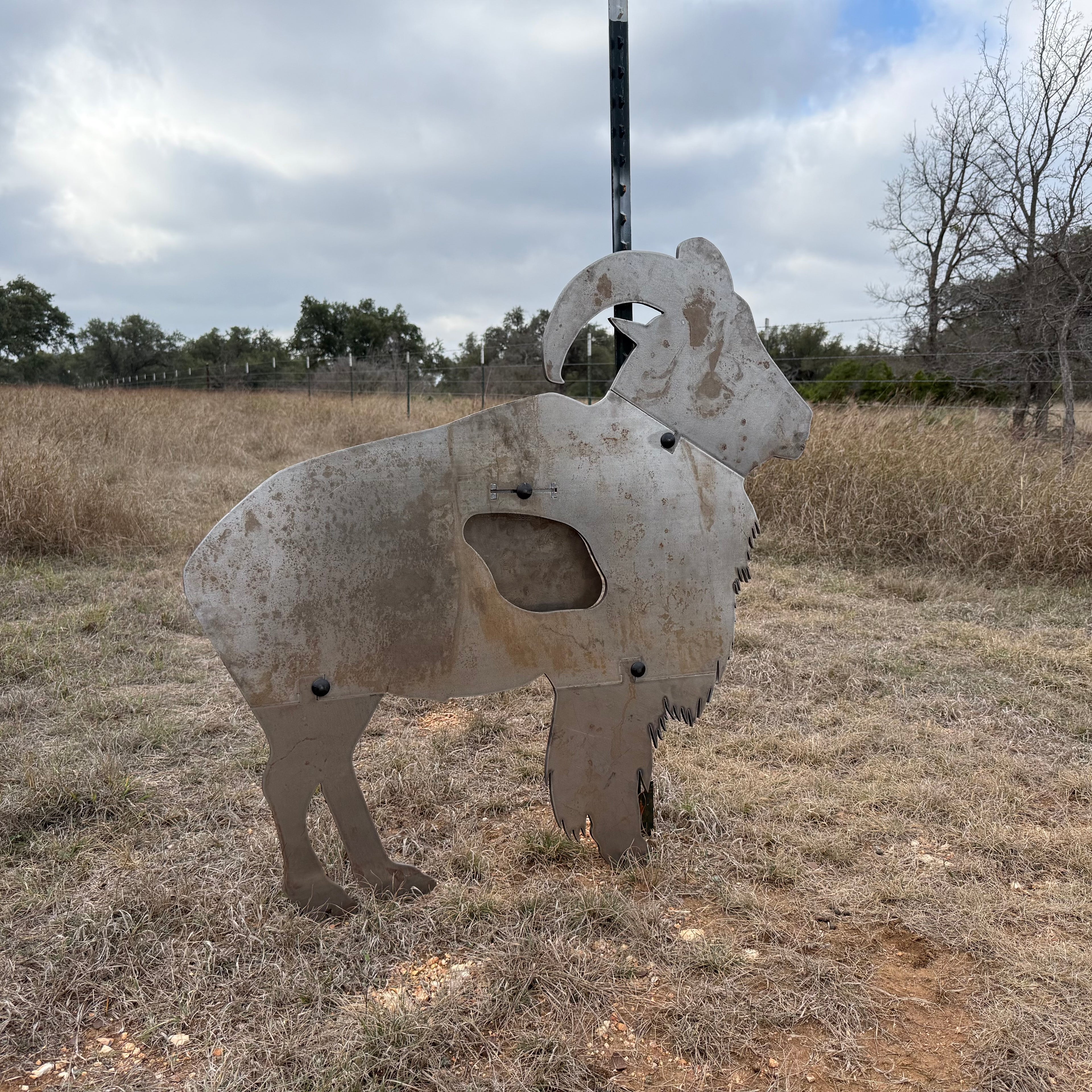 AR500 Steel Aoudad ram target in a grassy field with trees and sky in the background