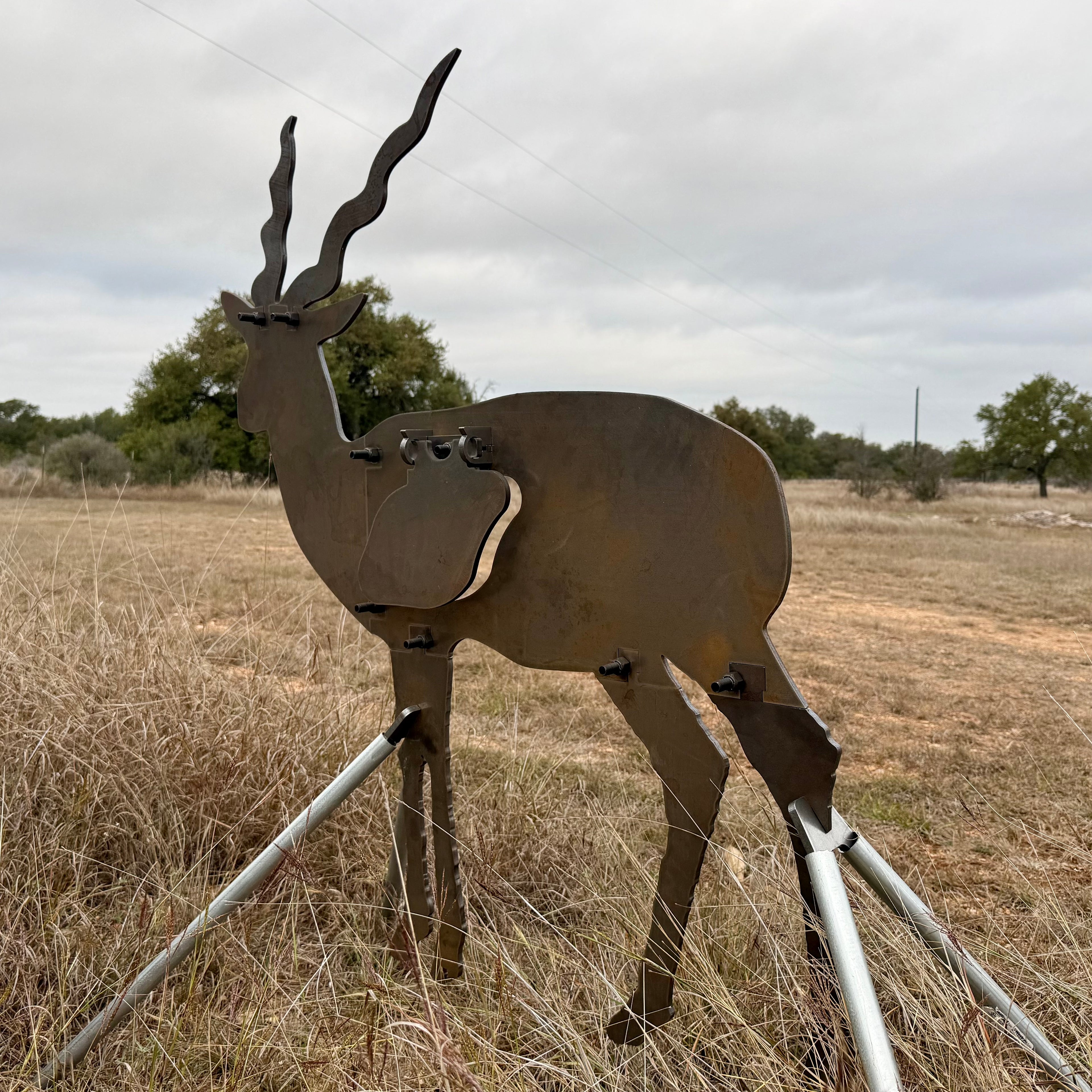 AR500 Steel Blackbuck target on a stand in a grassy outdoor area with trees in the background