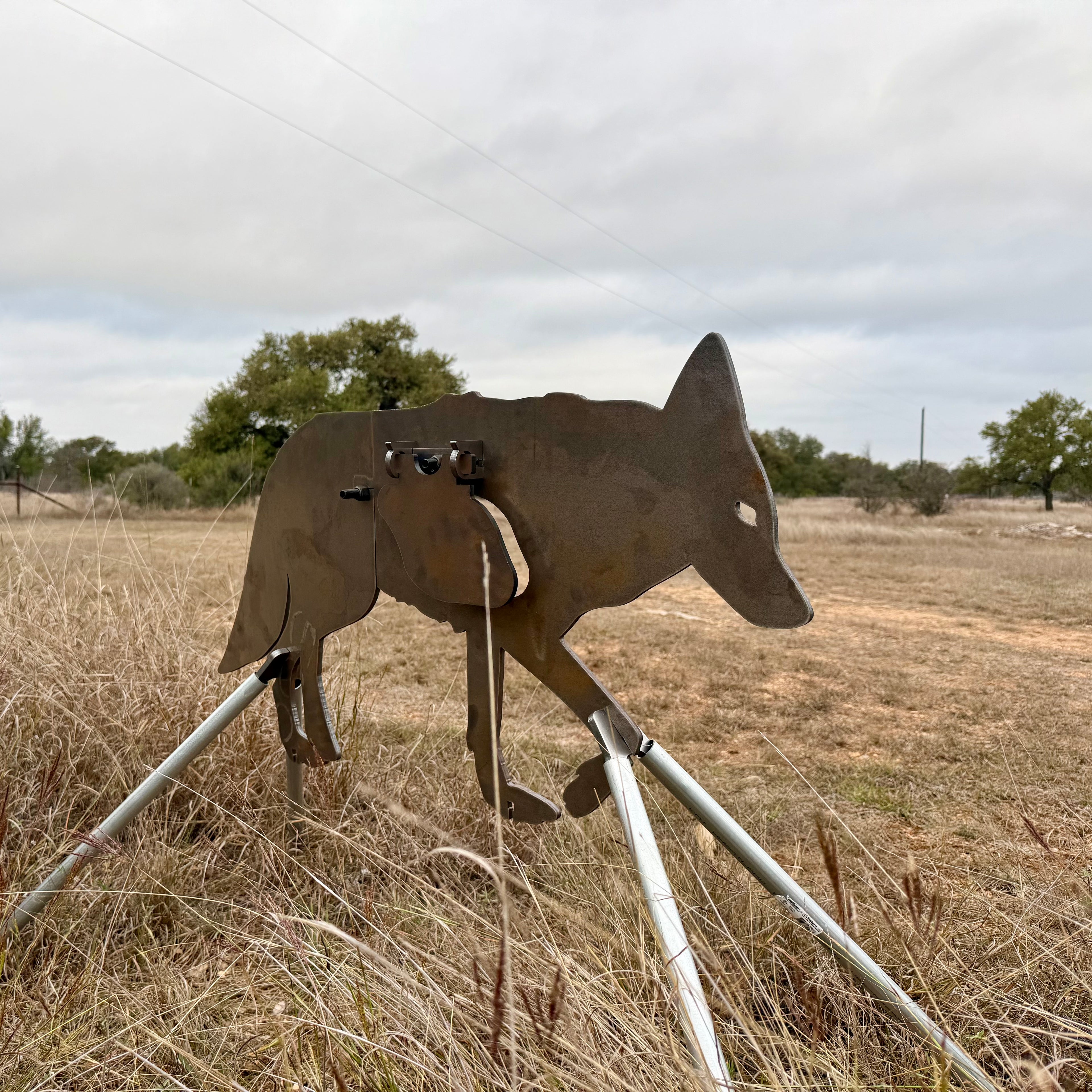 AR500 Steel Coyote target on a stand in a grassy outdoor area with trees in the background