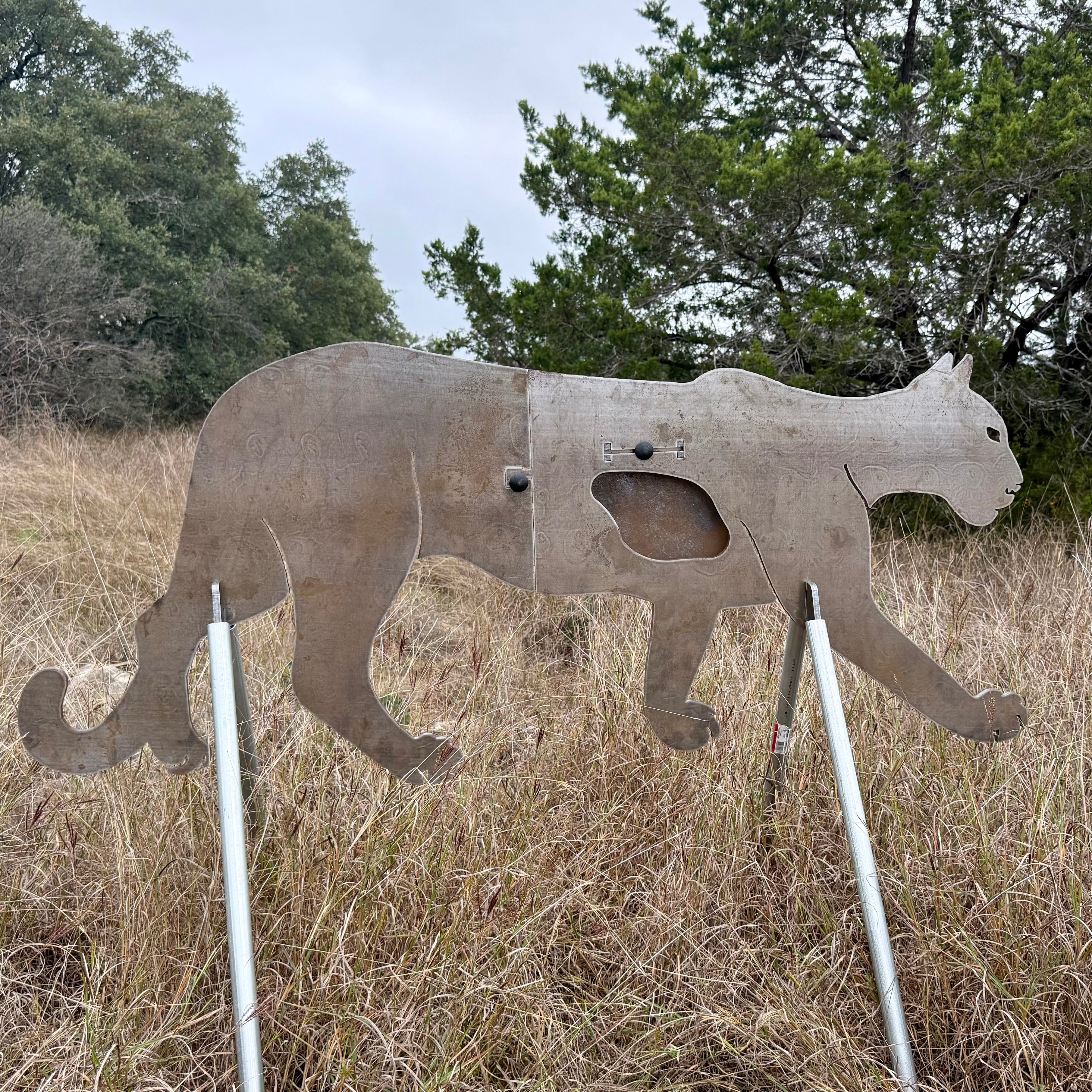 Full Size AR500 Mountain Lion Target